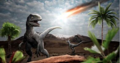 Extinctia dinozaurilor s-a produs in urma coliziunii Pamantului cu un meteorit gigantic.